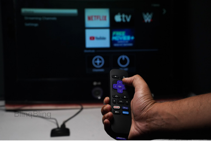 How to Change Internet Speed on Roku: Quick Fix [2023] - BlinqBlinq