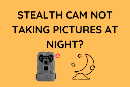 Stealth Cam Not Taking Pictures at Night: How to Fix [2023]