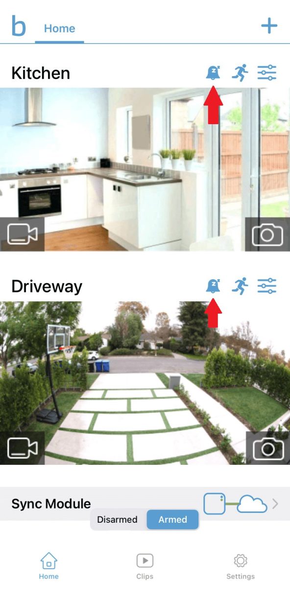 Blink Notification But No Video: How To Fix - BlinqBlinq