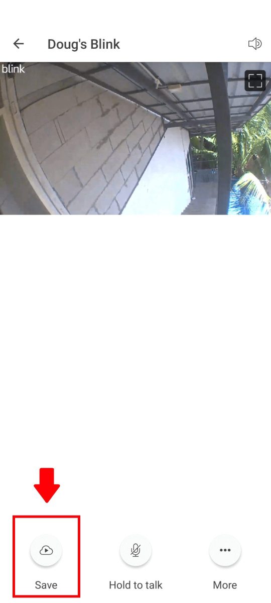 Do Blink Cameras Record Audio? Answered! BlinqBlinq