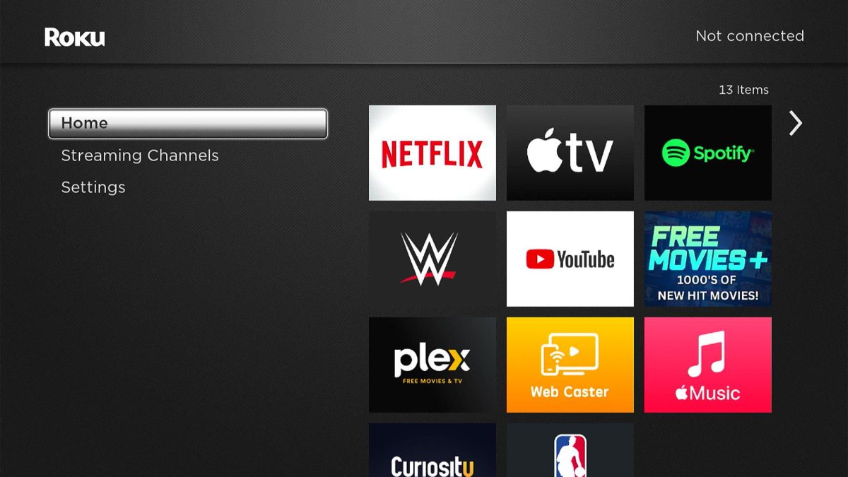 How to Change Internet Speed on Roku: Quick Fix [2023] - BlinqBlinq