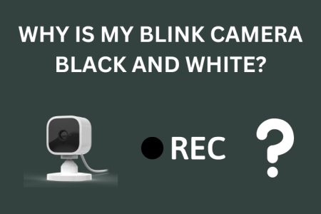 Why is My Blink Camera Output Black And White?